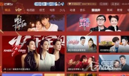 在线观看湖南卫视直播,精彩瞬间尽收眼底