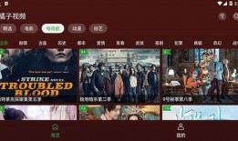 娱乐八卦爆料视频素材,明星幕后故事大曝光！