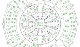 网红明星吃瓜八卦图,揭秘娱乐圈幕后真相